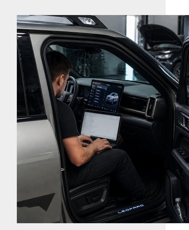 Русификация BYD Leopard 3 в Волгограде по цене от 20678 р. | ФастМобиль-Влг